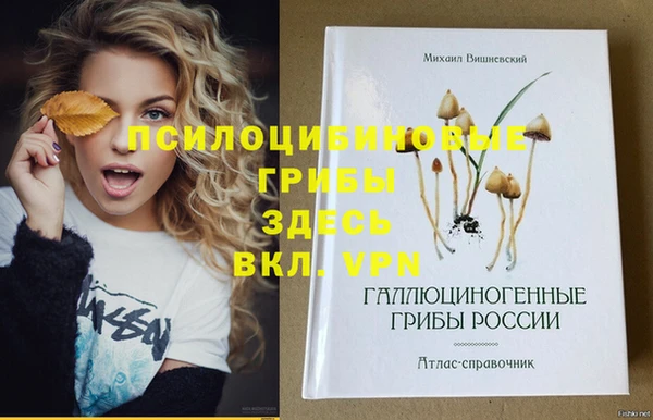 молекула духа Алексеевка