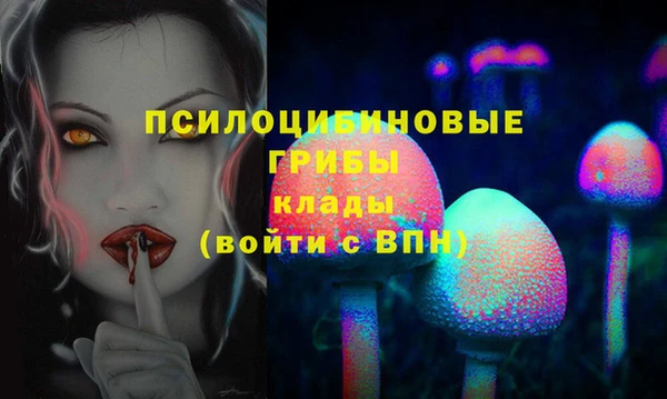 сатива Алексин