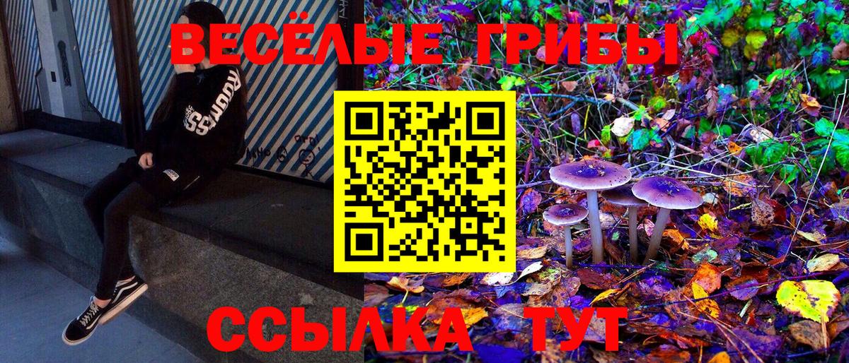 дарнет шоп  Вход с VPN  Рязань  Галлюциногенные грибы прущие грибы 